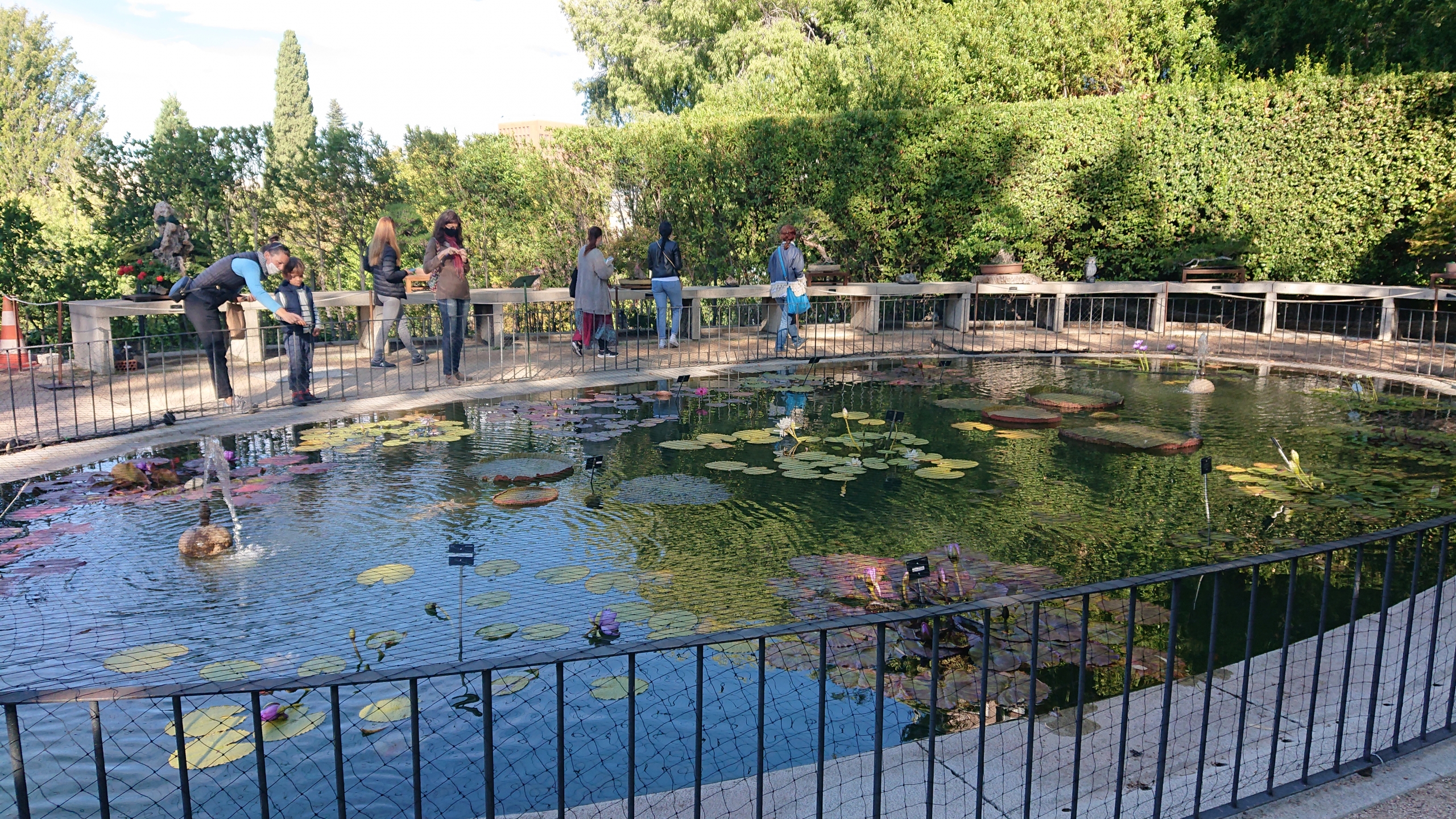 En este momento estás viendo Visita al Jardín Botánico de Madrid – Escuela de Naturopatía del Grupo Thuban