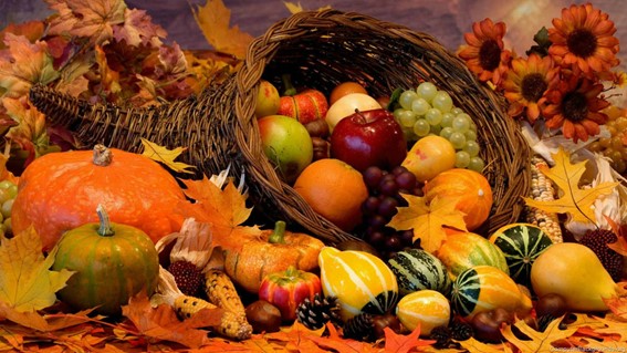 En este momento estás viendo Prepara tu organismo para el otoño: cuida a tu hígado.