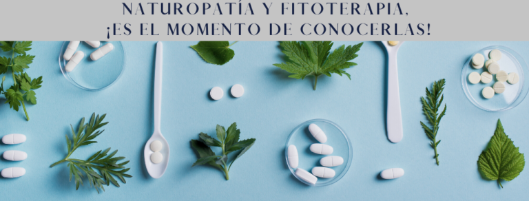 Lee más sobre el artículo Naturopatía y Fitoterapia, ¡es el momento de conocerlas!